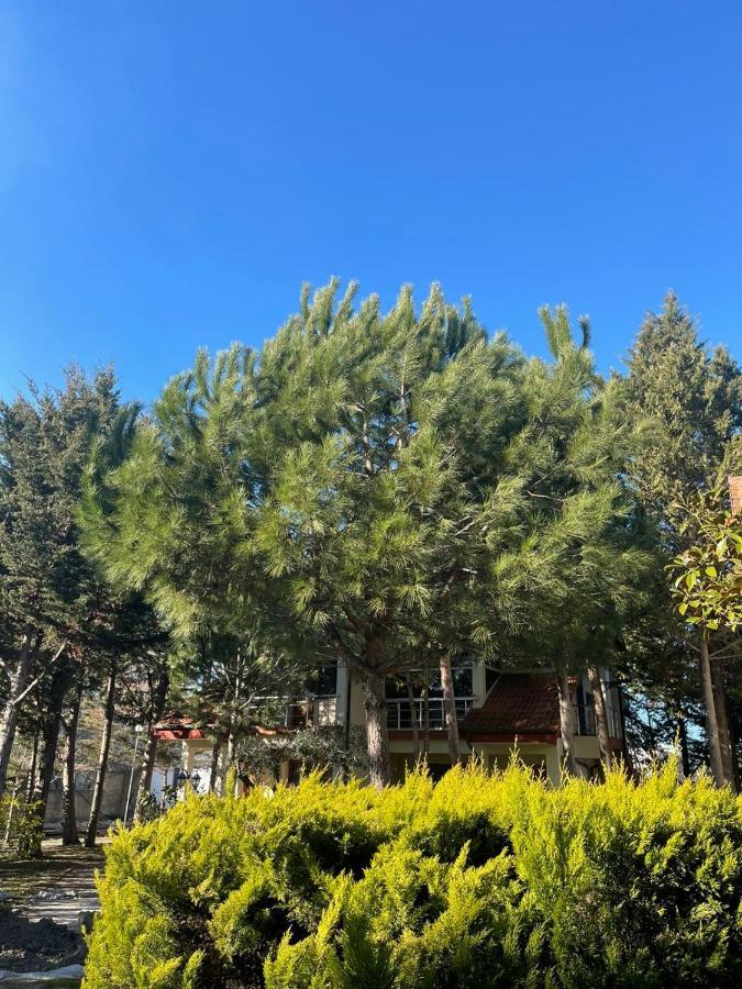 Hotel Garden Villa Ardo Golem  Eksteriør bilde
