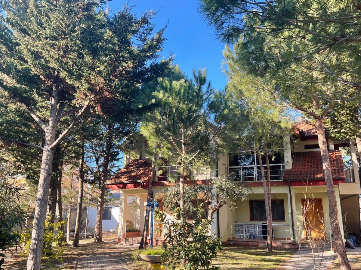 Hotel Garden Villa Ardo Golem  Eksteriør bilde